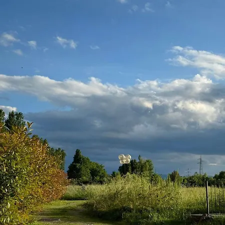 Il Bosco Inaspettato Apartmán *